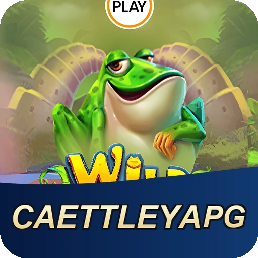 CAETTLEYAPG feedback — categorias de sugestão e melhoria no app